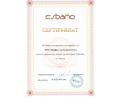 Душевая дверь в нишу ESBANO-120-2LD 120 см